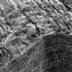 Image for article titled 10 of the Year's Most Beautiful Science Images